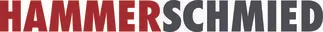Firm Logo
