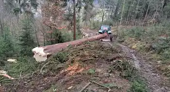 Forstdienstleistung