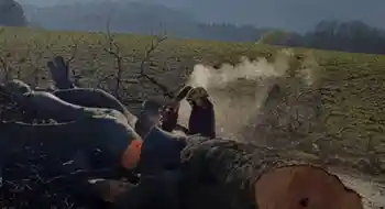Holzschlägerung und Bringung