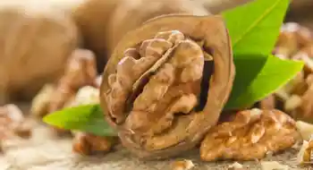 BIO-Walnußöl