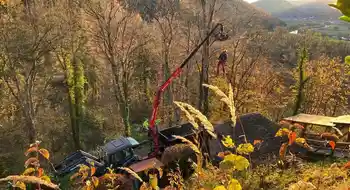 Holzschlägerung / -bringung und vieles mehr!