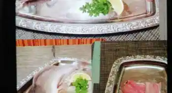 Wels aus eigener Aquakultur