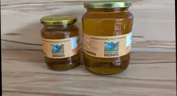 Wald-/Blütenhonig