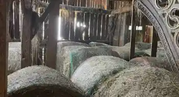 Heuballen zu verkaufen