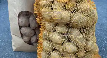 BIO Speisekartoffeln