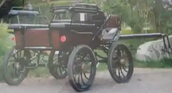 Kutsche Freizeit