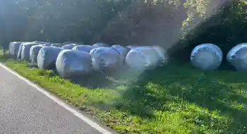 Bio Siloballen