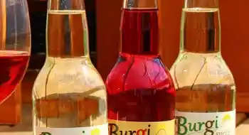Weißer Spritzer 0,33 l trinkfertig in Glasflasche