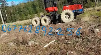 Holzschlägerung und Bringung