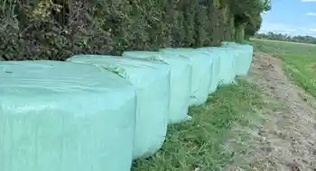 Bio Luzerne Silageballen