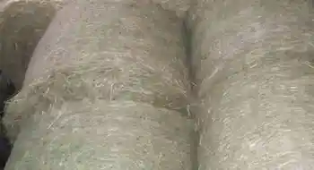 Heu biologisch in Rundballen