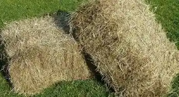Lohnunternehmen für Produktion Heu in Kleinballen gesucht