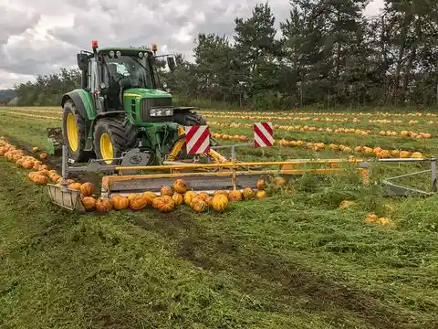 Agro-Stahl Kürbisschieber-ECO