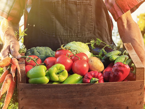 Produits de la ferme