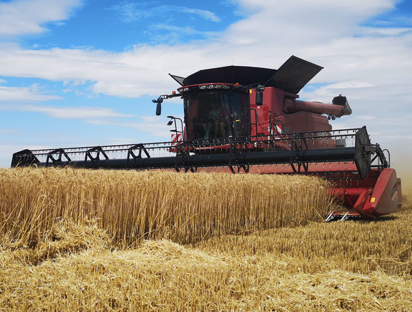 Harvesting equipment crop fields