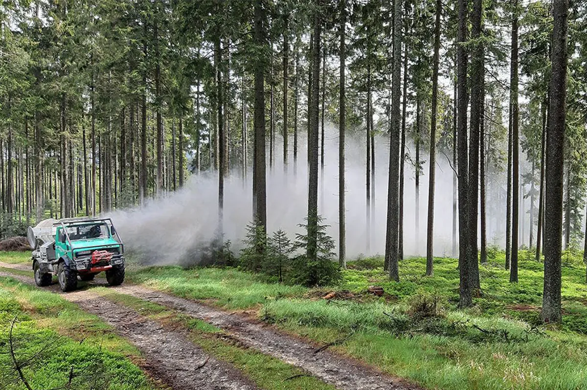 Bodenkalk: Tipps zur Waldbodensanierung – Jetzt bis zu 80% Förderung für klimafitte Wälder beantragen – Bild 1