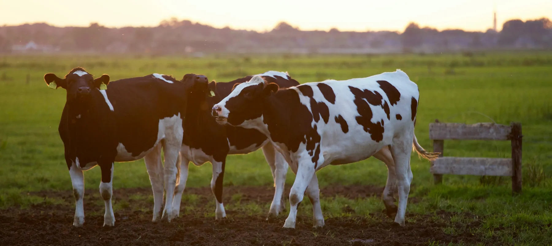 BIO AUSTRIA: Fachtagung liefert Impulse für die Zukunft der Bio-Landwirtschaft – Bild 1