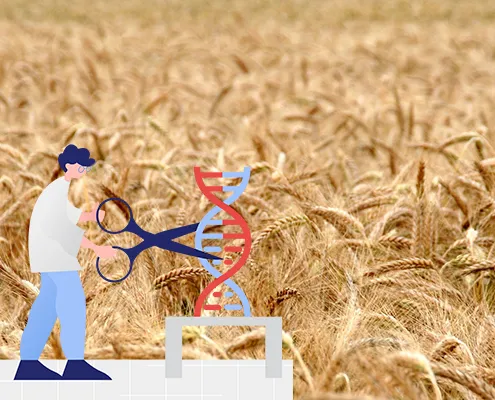 BIO AUSTRIA: Ablehnung von Deregulierung Neuer Gentechnik wichtiges Signal
