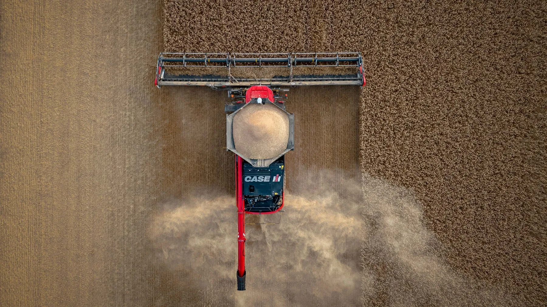 Die nächste Generation von Case IH-Mähdreschern: AF-Serie in neuer Leistungsdimension – Bild 3