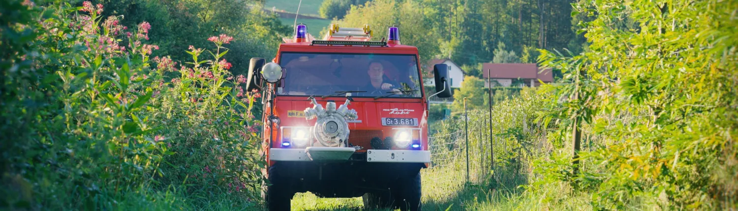 Grafik_TT (6) Steyr-Puch-Pinzgauer als Feuerwehrauto fährt auf Wiesenweg