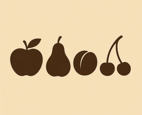stilisiertes Obst: Apfel, Birne, Zwetschke, Kirschen