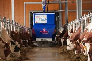Stallbauten der Zukunft: Innenmechanisierung und neue Technologien