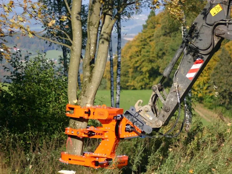 Woodcracker mobilisiert Biomasse