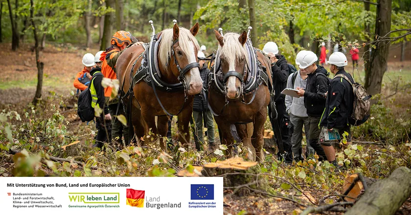 WALDTAGE 2026 - Waldbewirtschaftung hautnah erleben