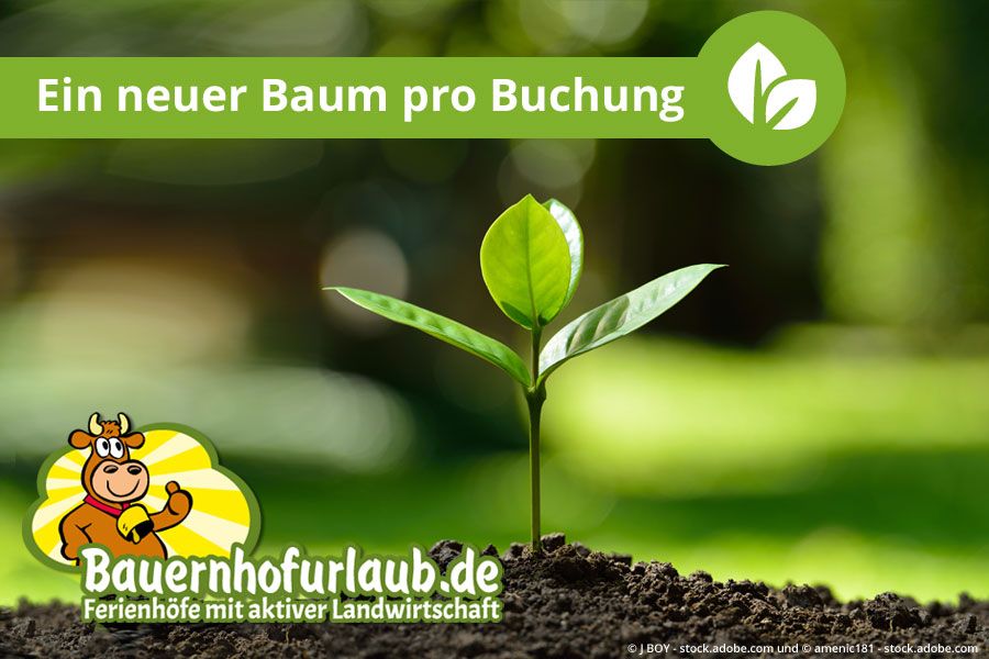 Die familiengeführten Höfe bei Bauernhofurlaub.de bewirtschaften täglich ressourcen- und umweltschonend ihre landwirtschaftlichen Betriebe und tragen dadurch zum aktiven Klimaschutz bei (Quelle: Bauernhofurlaub.de).