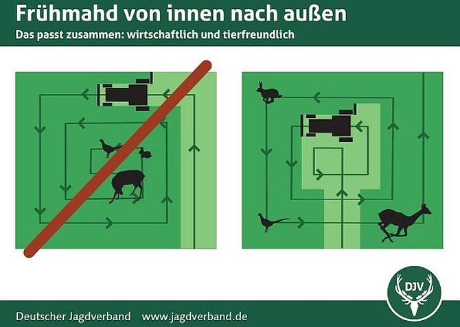 Effektiver Wildtierschutz beginnt bereits vor der Mahd, so die Verbände.