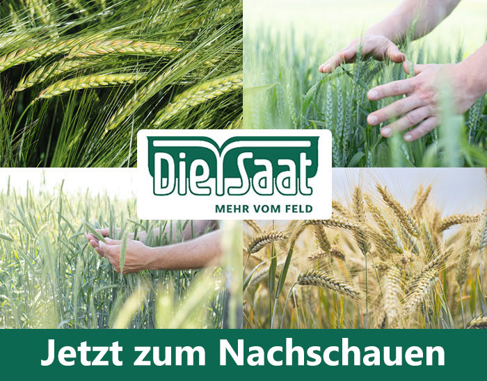 DIE SAAT DIE RICHTIGE SORTENWAHL FÜR IHREN MEHRERTRAG Landwirt News DIE SAAT DIE RICHTIGE SORTENWAHL FÜR IHREN MEHRERTRAG Landwirt News
