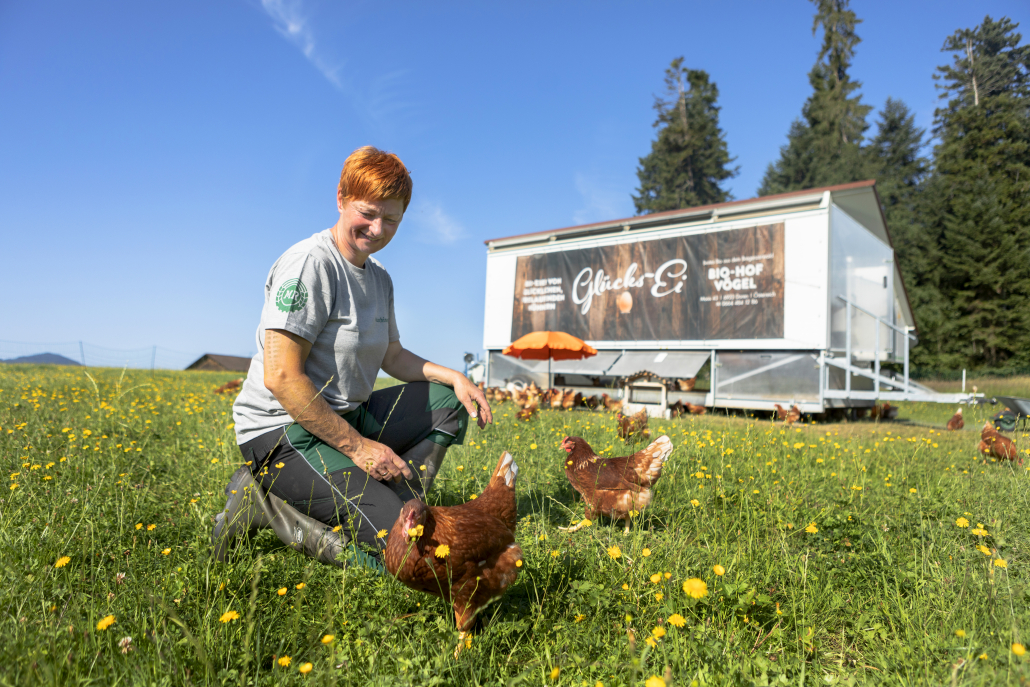 Erschließung des Arbeitskräftepotenzials der Frauen aus der Landwirtschaft