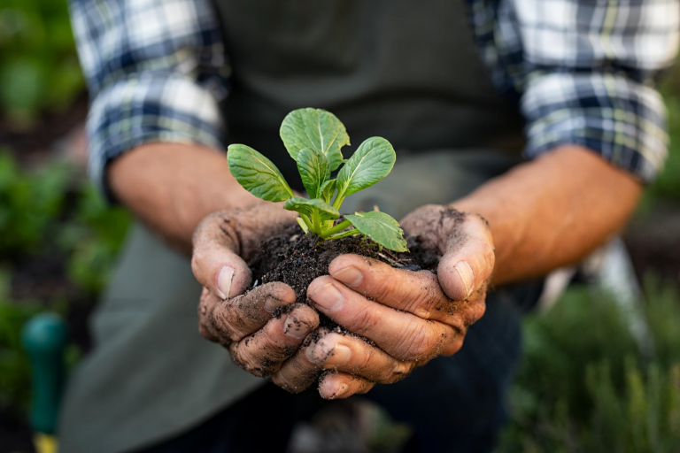 BIO AUSTRIA: Bio-Landwirtschaft muss attraktiv bleiben - Landwirt News