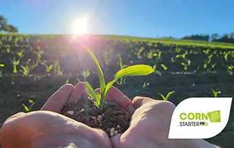 Titelbild: Hände mit Erde und einer Maispflanze darin - im Hintergrund ein Maisfeld kurz vor Sonnenuntergang