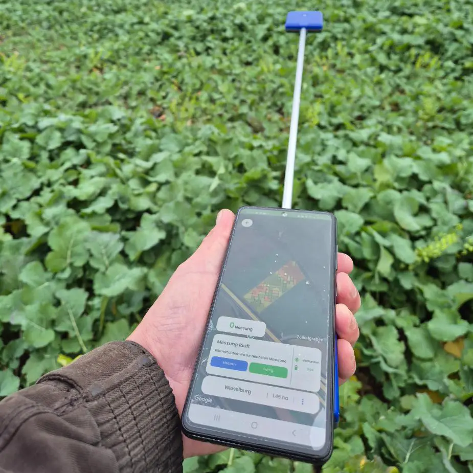 Pflanzenmasse im Raps ermitteln