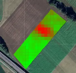 Problemstelle in einem Gerstenfeld