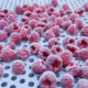 kryogen tiefgekühlte Himbeeren